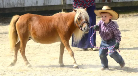 Canfield Fair gets underway